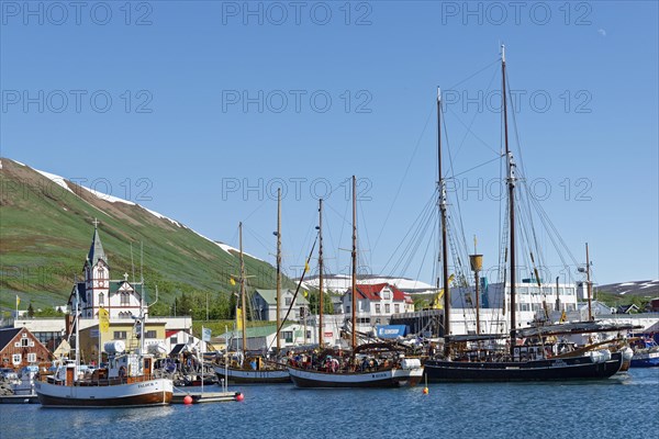 Old fishing boats are used for whale-watching