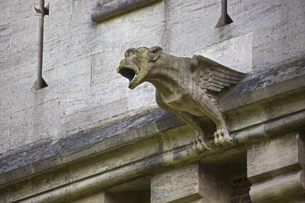 Stone gargoyle