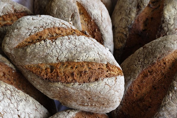 Fresh baked bread from the stone oven