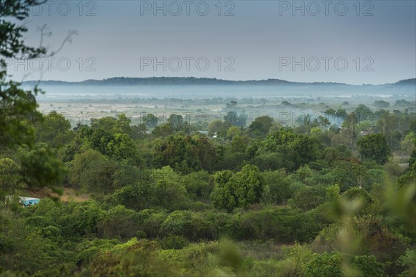 Bush landscape with morning fog near Bekopaka at Manambolo