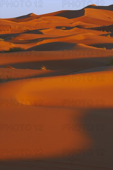 Merzouga