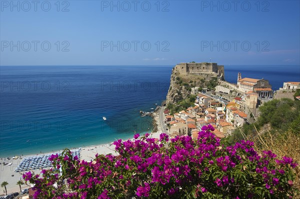 Scilla