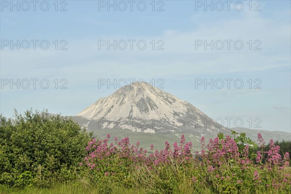 View of Mount Errigal from Gweedore