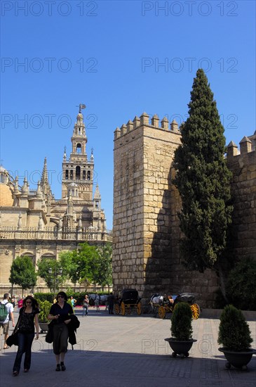 Cathedral and Giralda Tower