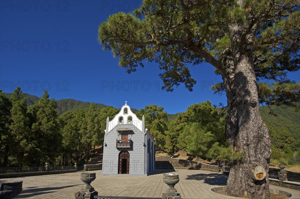 Eremita Virgel del Pino Sanctuary