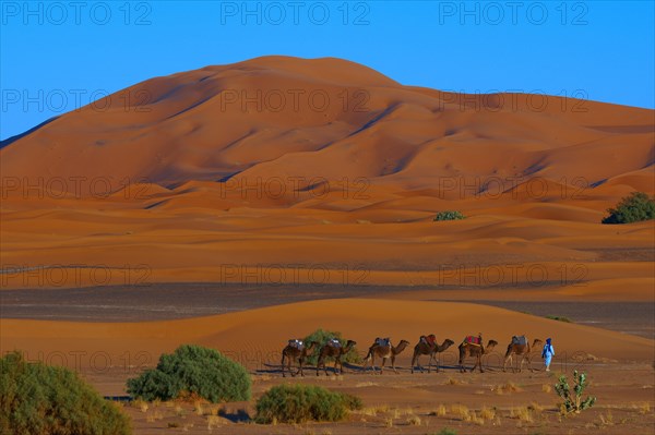 Merzouga