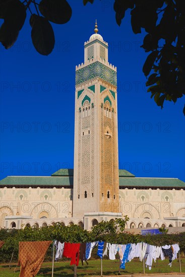 Casablanca