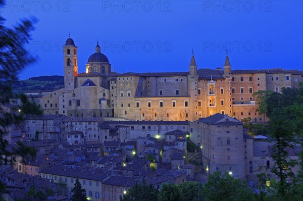 Urbino