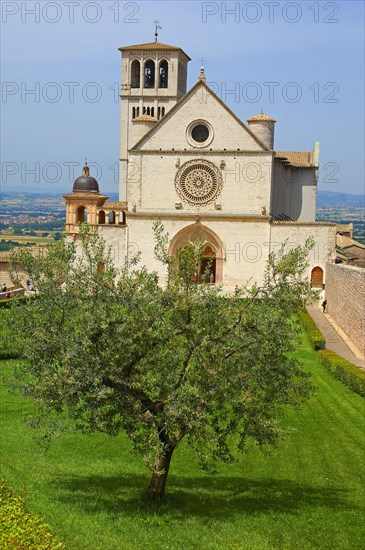 Assisi