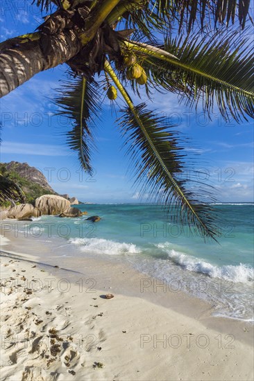 Beach Anse Source D'Argent