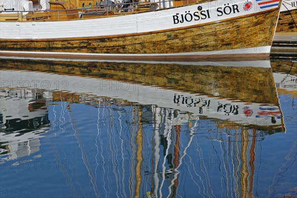 Old fishing boats are used for whale-watching