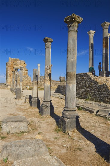 Volubilis