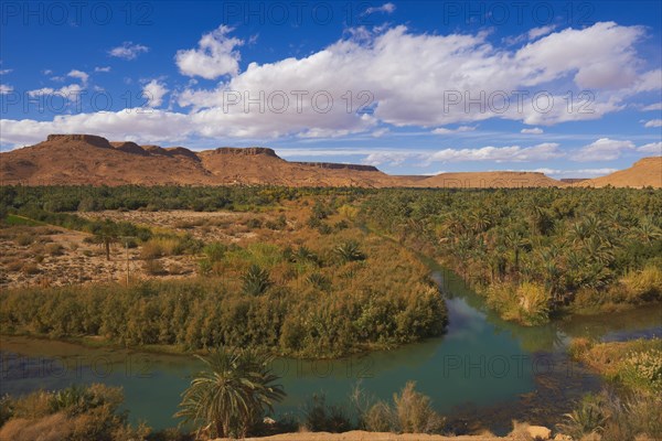 Tafilalet Oasis