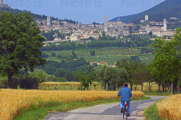 Assisi