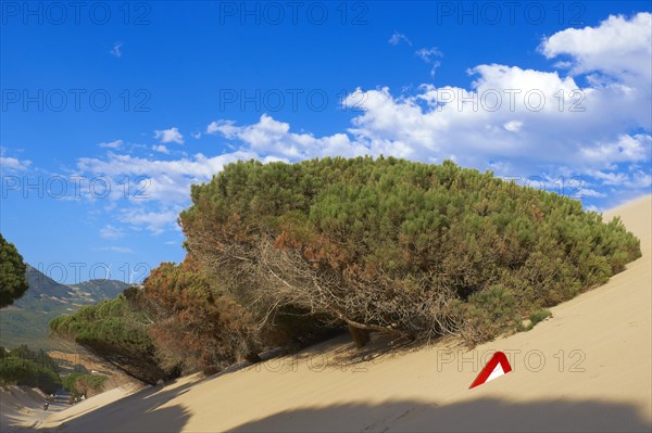 Punta Paloma Dunes
