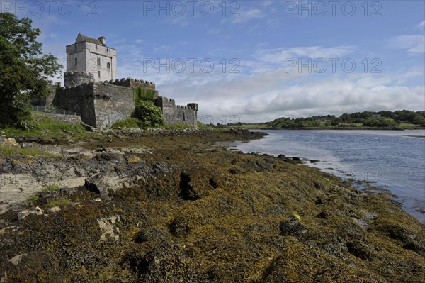 Doe Castle