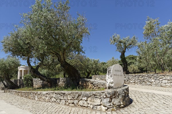 Signpost at the Way of the Cross
