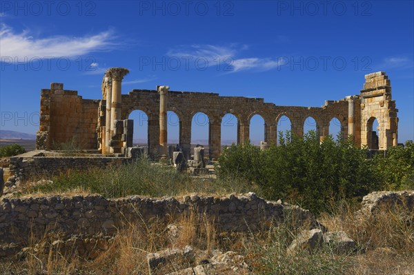 Volubilis