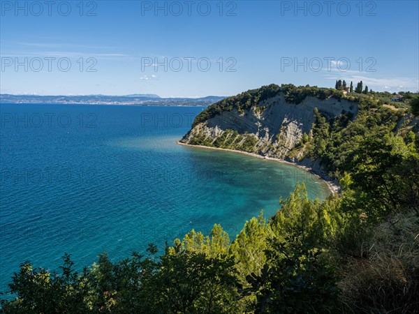 View of the cliffs of Strunjan and Moon Bay