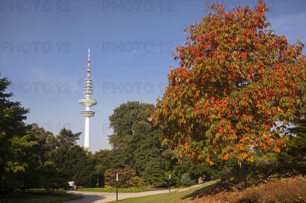 Hamburg TV Tower