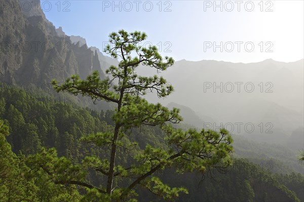 Parque Nacional de la Caldera de Taburiente