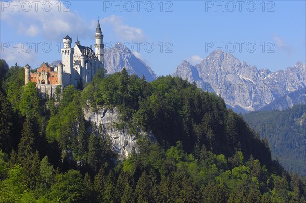 Neuschwanstein Castle