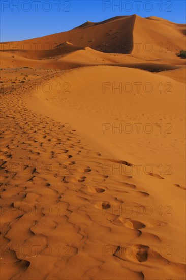 The Great Merzouga Dune