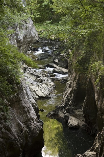 Skocjanske National Park