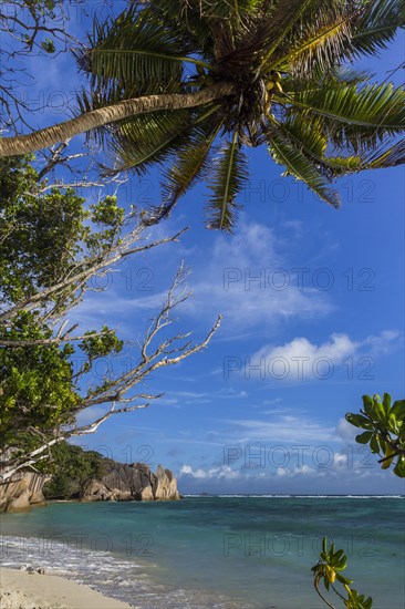 Beach Anse Source D'Argent