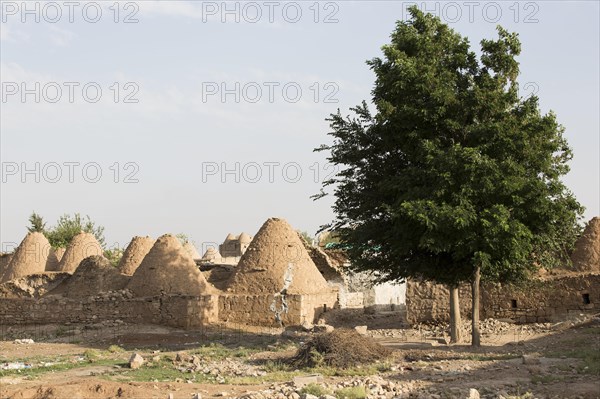 The Harran Houses