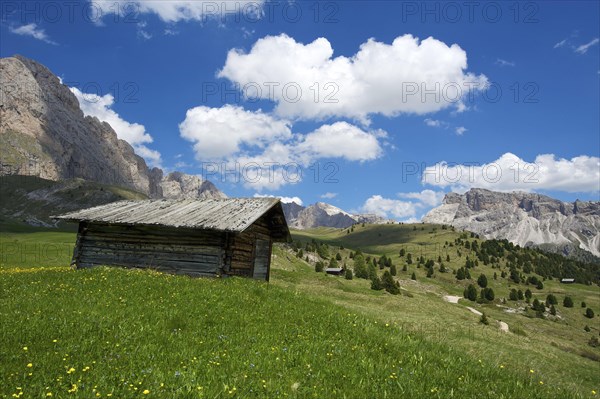 Alpine pasture on the Seceda