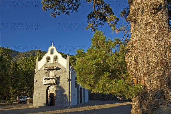 Eremita Virgel del Pino Sanctuary