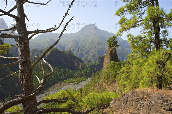 Parque Nacional de la Caldera de Taburiente