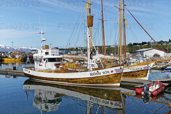 Old fishing boats are used for whale-watching