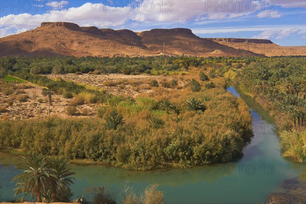 Tafilalet Oasis