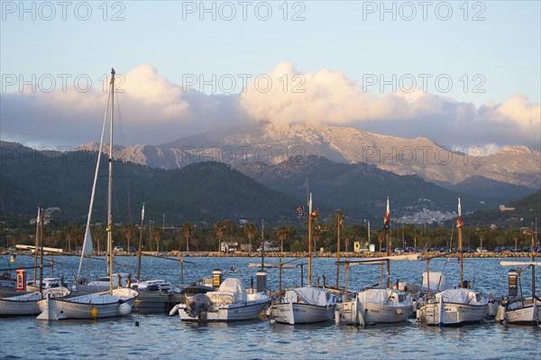 Fishing port of Port d'Andratx