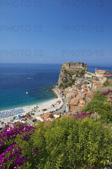 Scilla