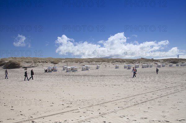 Sandy beach beach at the Hoernumer Odde