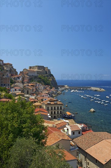 Scilla