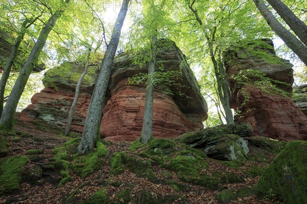 Old Castle Rock Natural Monument