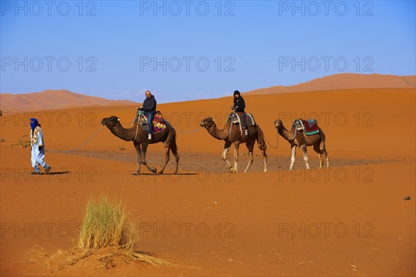 Merzouga