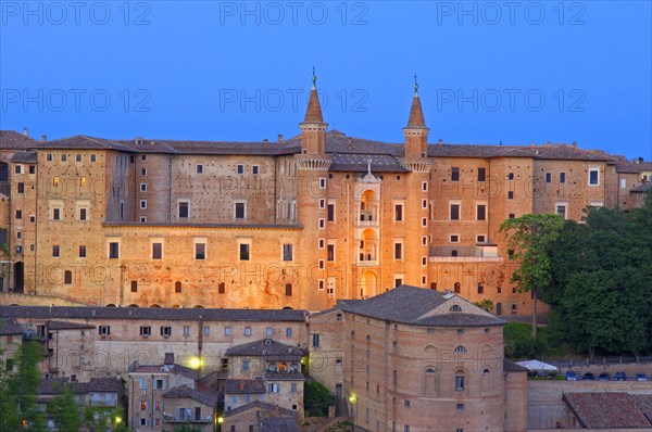 Urbino