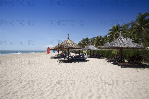 Beach with palm tree sunshade