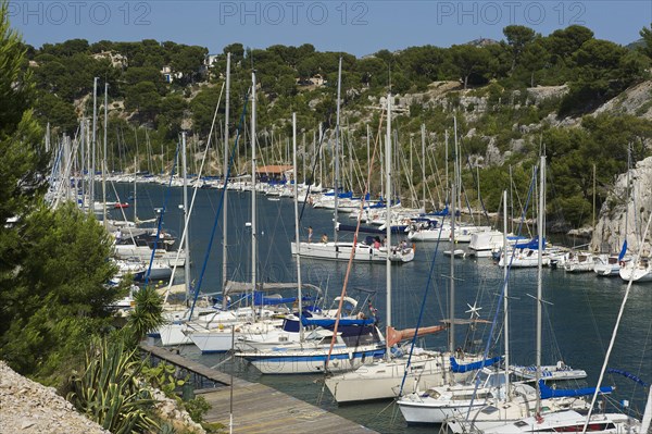 Marina in Calanque de port miou