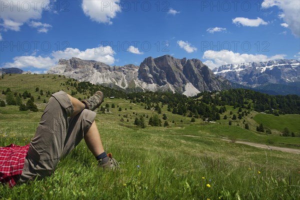 Alpine pasture on the Seceda