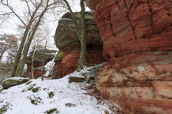 Natural Monument