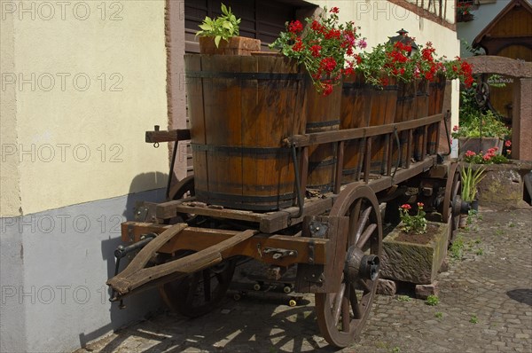 Eguisheim