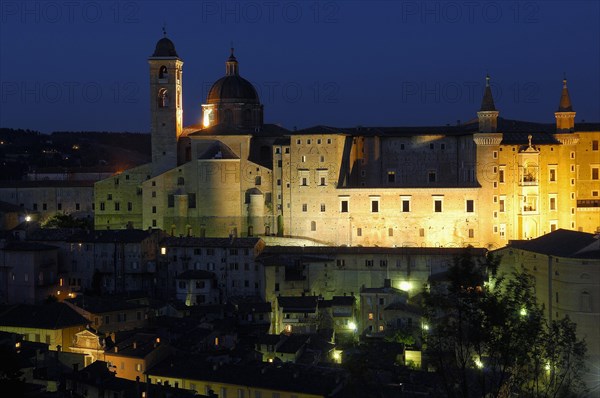 Urbino