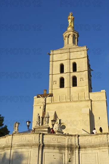 Papal Palace