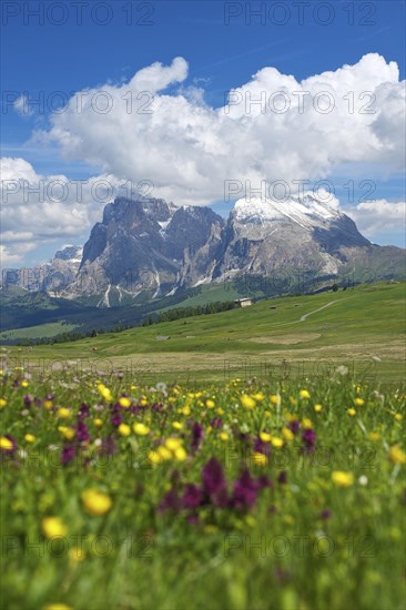 Alpe di Siusi with Sassolungo and Sassolungo